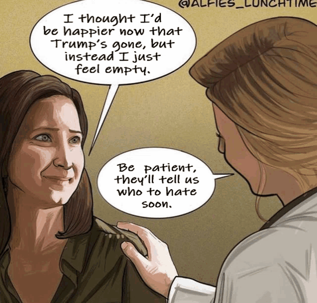 a cartoon of a woman talking to a doctor who says " be patient they 'll tell us who to hate soon