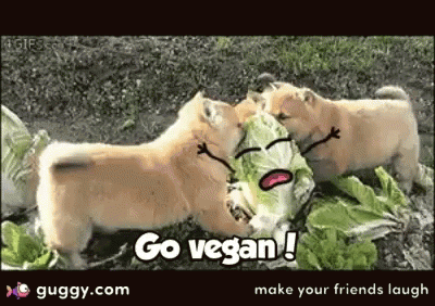 Vegan Vegano GIF - Vegan Vegano Go Vegan GIFs