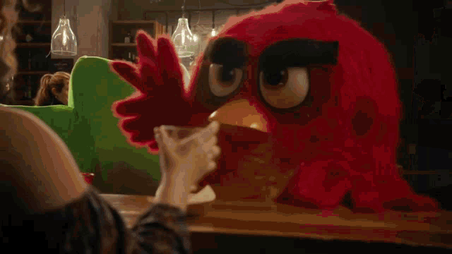 Angry Birds Duolingo GIF - Angry Birds Duolingo Bar Fight GIFs