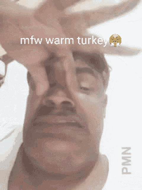 a man with a mustache is covering his nose with his hand and the words mfw warm turkey are visible