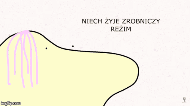 a drawing of a whale with the words niech zyje written on the bottom