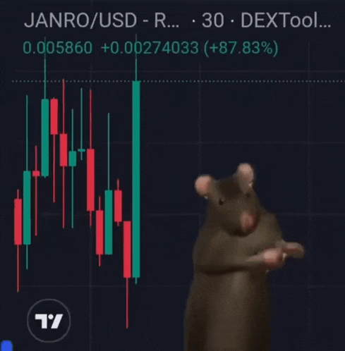 a rat is standing in front of a chart that says janro / usd r 30 dextool