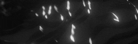 a black and white photo of a person 's face with a lot of lights coming out of it .