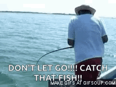 Fish Fishing GIF - Fish Fishing Big Catch GIFs