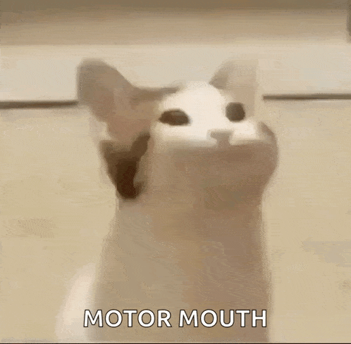 a cat with its mouth open and the words `` motor mouth '' written on its face .