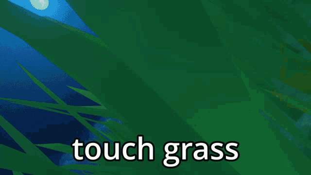 a picture of a girl with the words touch grass written below her