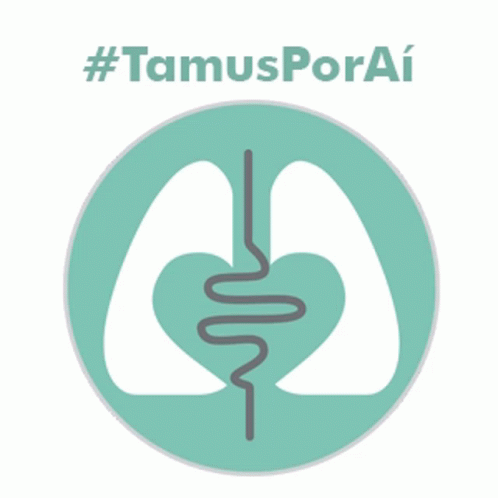 Etamussino Tamusjuntos GIF - Etamussino Tamusjuntos Tamussino GIFs