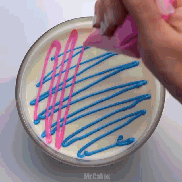 a person is decorating a cake with pink and blue frosting and the name mr.cakes is on the bottom