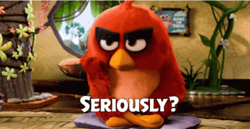 Seriously Red Bird GIF - Seriously Red Bird Angry Birds GIFs