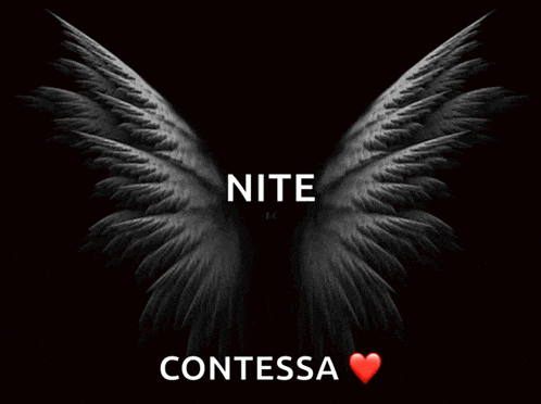 a black and white image of angel wings with the words nite and contessa below them