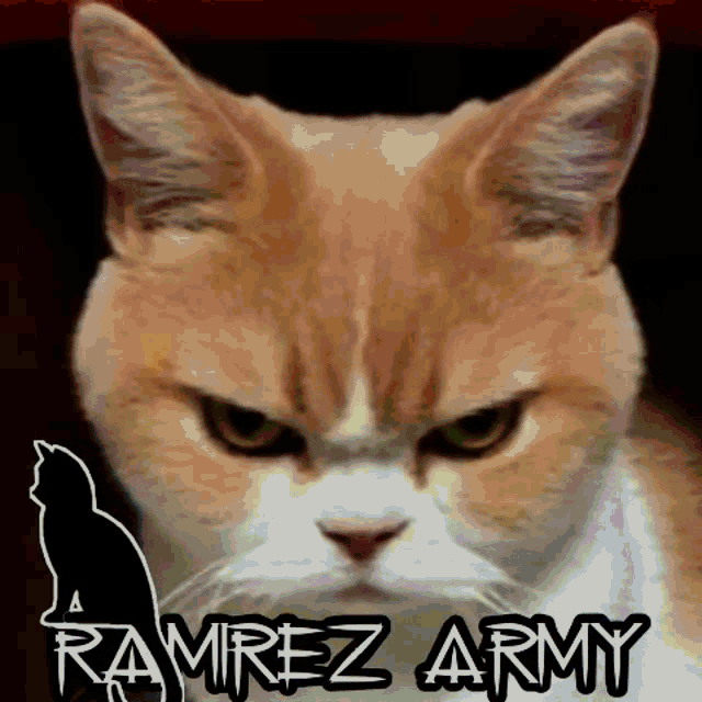 Ramirezarmy GIF - Ramirezarmy GIFs