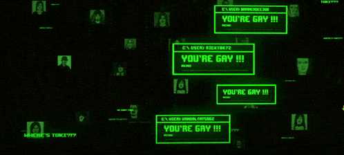 a computer screen displays a message that says " you 're gay "