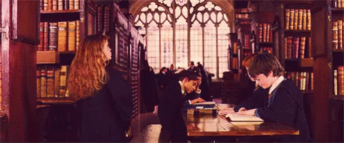 Fine GIF - Harry Potter Hermione Granger Emma Watson GIFs
