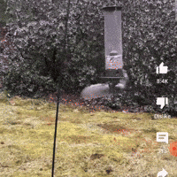 a bird feeder is in the middle of a field