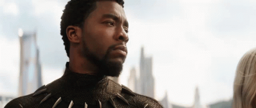 What Black Panther GIF - What Black Panther Who Me GIFs