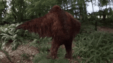 a large brown bear is standing in a forest