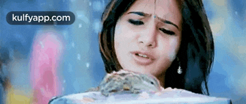 a woman is holding a turtle in her hands and looking at it .