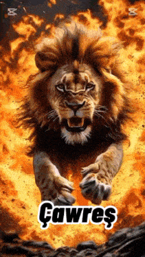 a lion is running through a fire with a sticker that says ' chawres ' on it