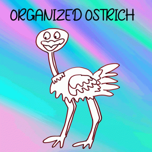 Organized Ostrich Veefriends GIF - Organized Ostrich Veefriends Coordinated GIFs