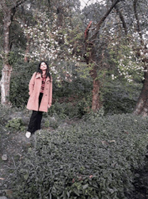 a woman in a pink coat stands in the middle of a forest