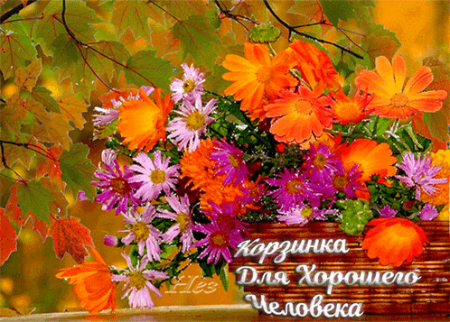a bouquet of flowers sits on a wooden sign that says korzunka