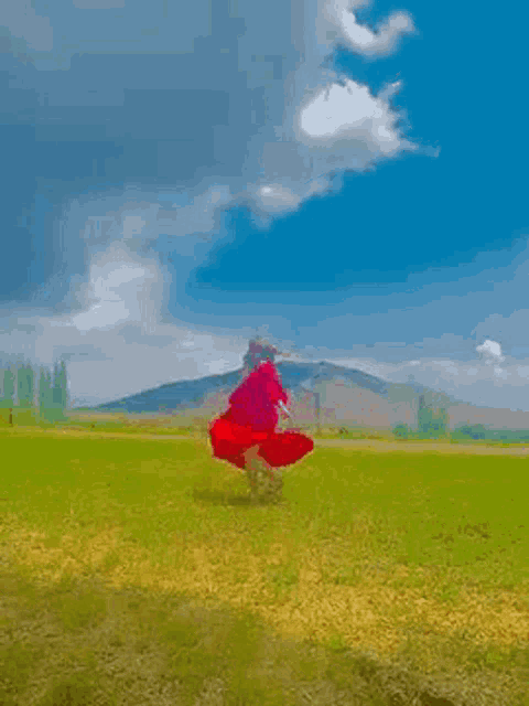 a person in a red dress is standing in a grassy field with mountains in the background