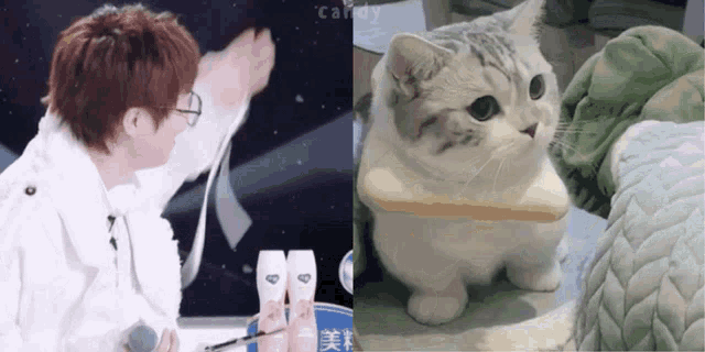 a cat sitting on a piece of bread next to a man with glasses