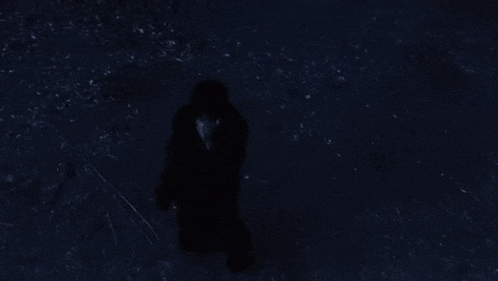a silhouette of a man in a black coat is walking in the dark .