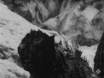 a black and white photo of a tree trunk in the snow