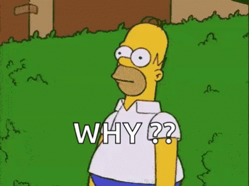Why But Why GIF - Why But Why Homer Simpsons GIFs
