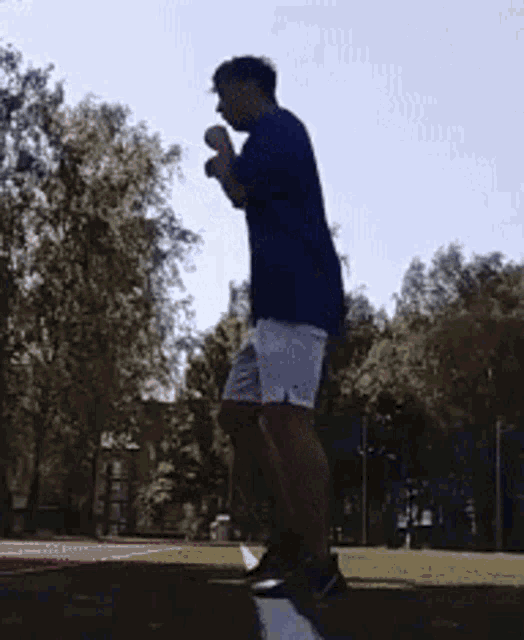 a man in a blue shirt and white shorts is jumping over a fence in a park .