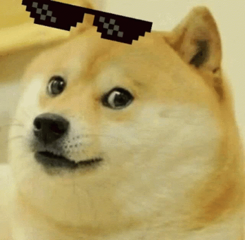 Yes Thug Life Deal With It GIF - Yes Thug Life Deal With It Cute GIFs