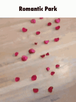 a bunch of red rose petals are laying on the floor .