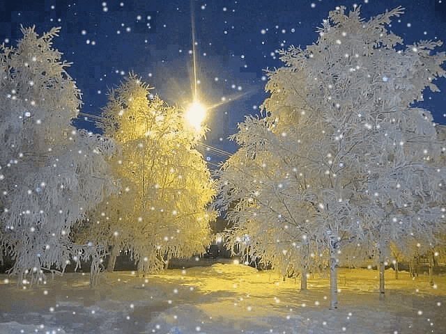 a snowy scene with trees and a street light