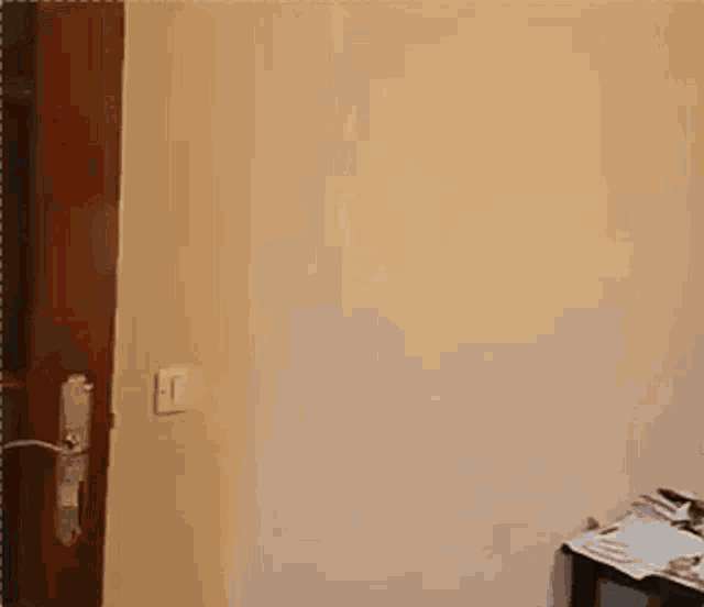 a man is standing in a doorway holding a door handle .