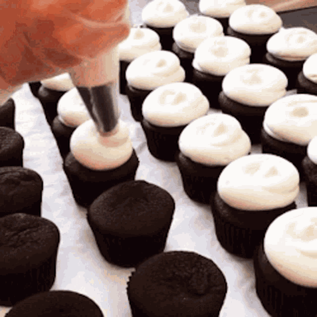 Cupcakes Frosting GIF - Cupcakes Frosting Icing GIFs