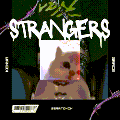 a picture of a cat on the cover of strangers serotonin