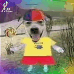a dog wearing a yellow shirt and red shorts is holding a lollipop
