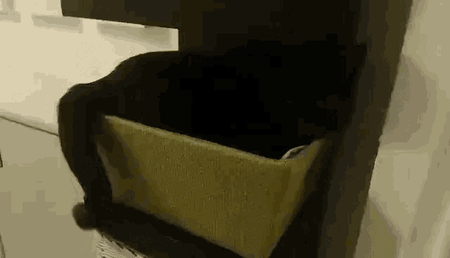 Cat Satisfied GIF - Cat Satisfied Happy GIFs