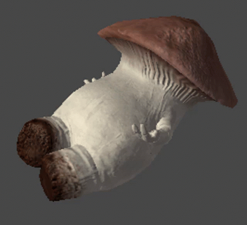 Mantar Adam Düşme Animasyonu Mushroom GIF - Mantar Adam Düşme Animasyonu Mushroom Mushroom Man GIFs