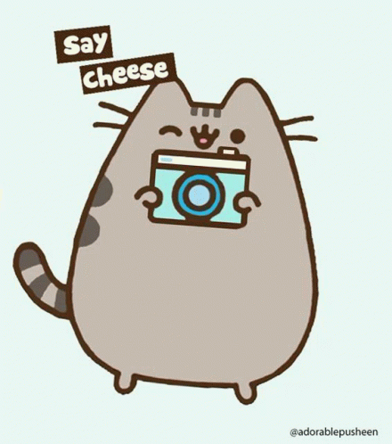 Pusheen Cat GIF