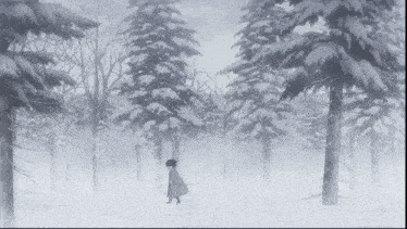 a person walking through a snow covered forest