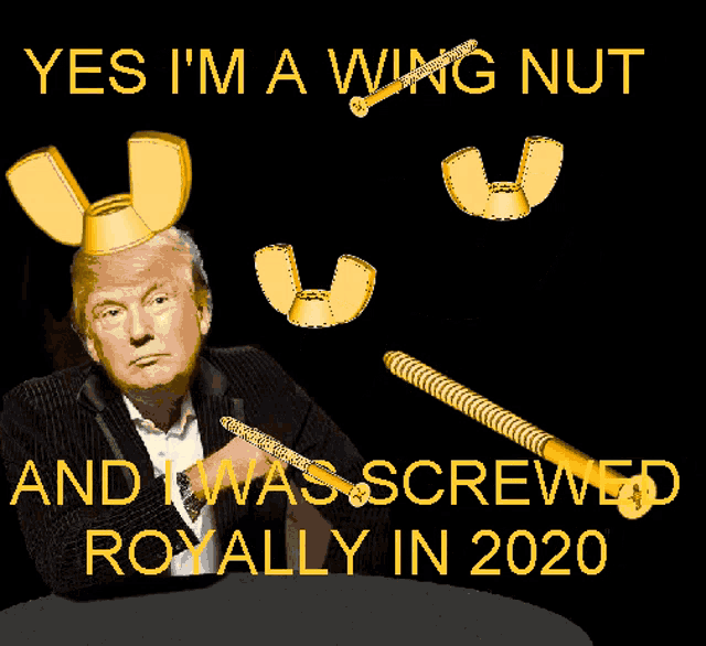 donald trump with a wing nut on his head and a screw in his hand