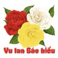 a red , white , and yellow rose with green leaves on a white background