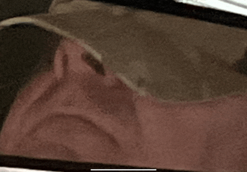 a close up of a man 's face in a car window .