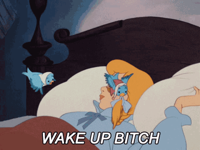 a cartoon of cinderella laying in bed with the words wake up bitch