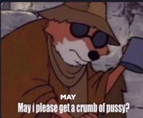 May I Please Get A Crumb Of Pussy Begging Fox Meme GIF - May I Please Get A Crumb Of Pussy Begging Fox Meme Cup GIFs
