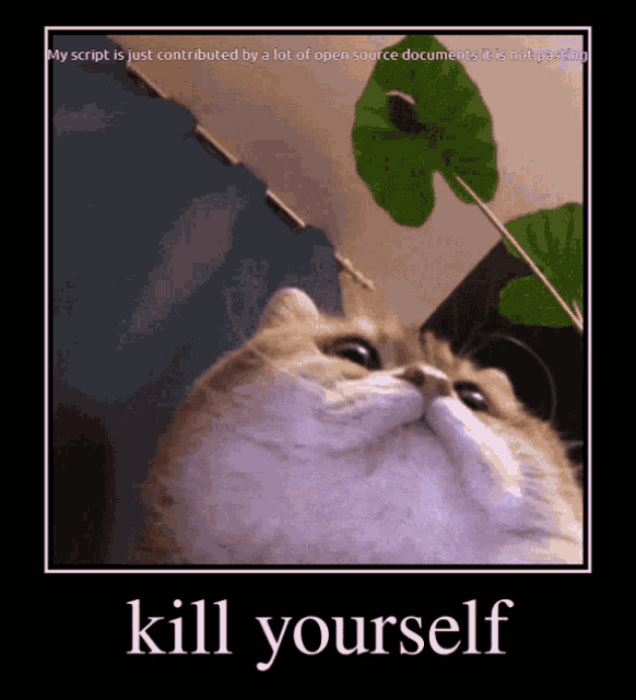 a picture of a cat with the words kill yourself on the bottom