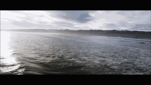 Elliphant GIF - Water Chill Reflection GIFs