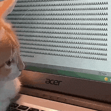 a cat is looking at a computer screen with a lot of screaming letters on it .